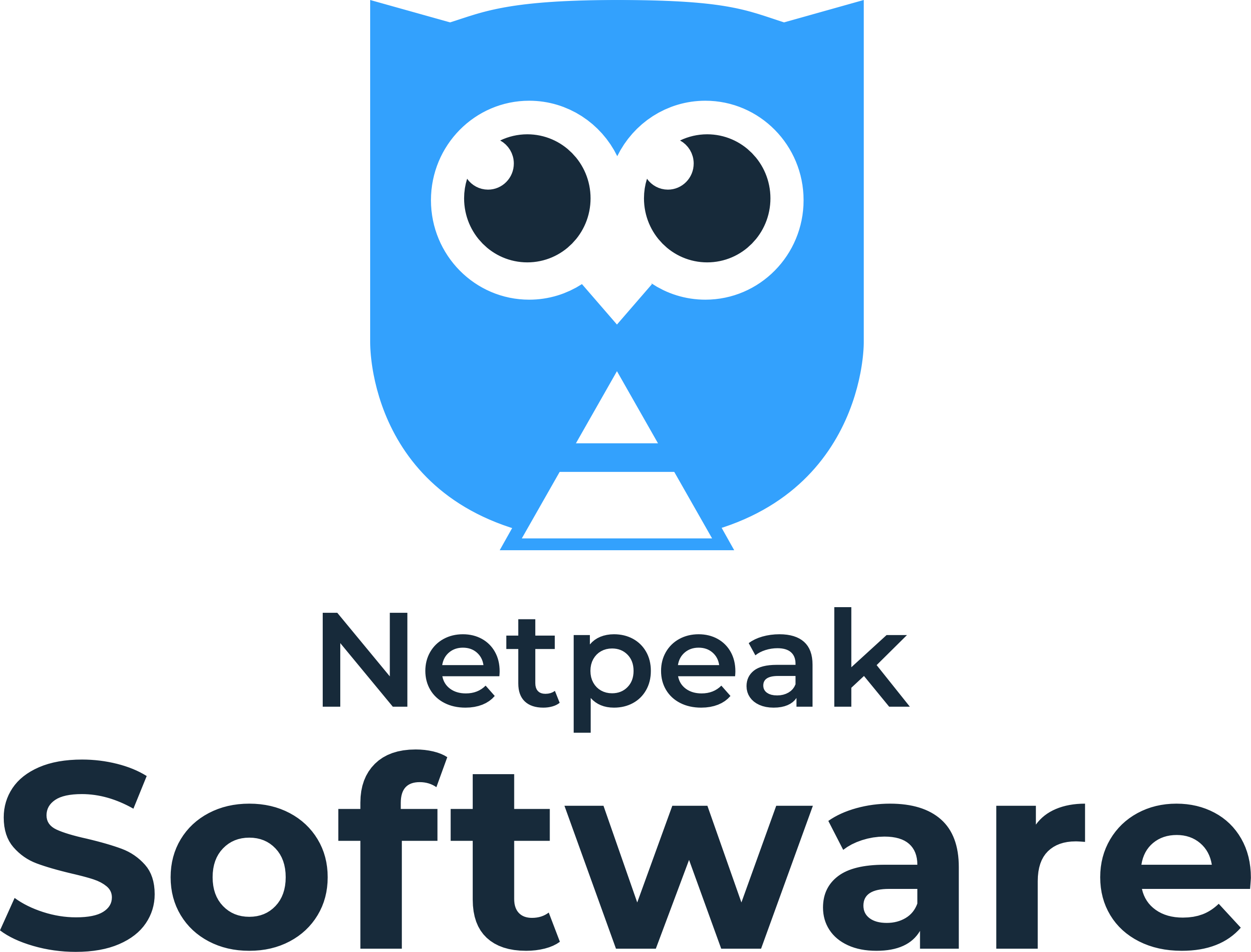 Netpeak Software