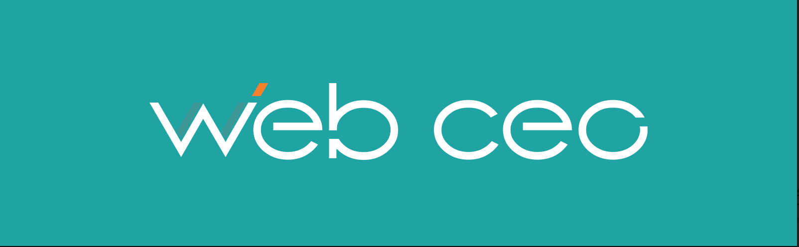 Web CEO